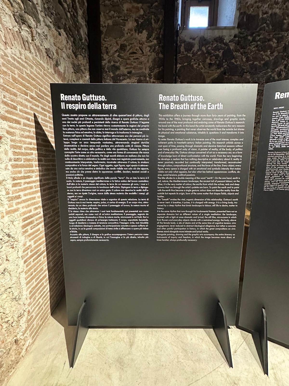 Pannello mostra Gattuso