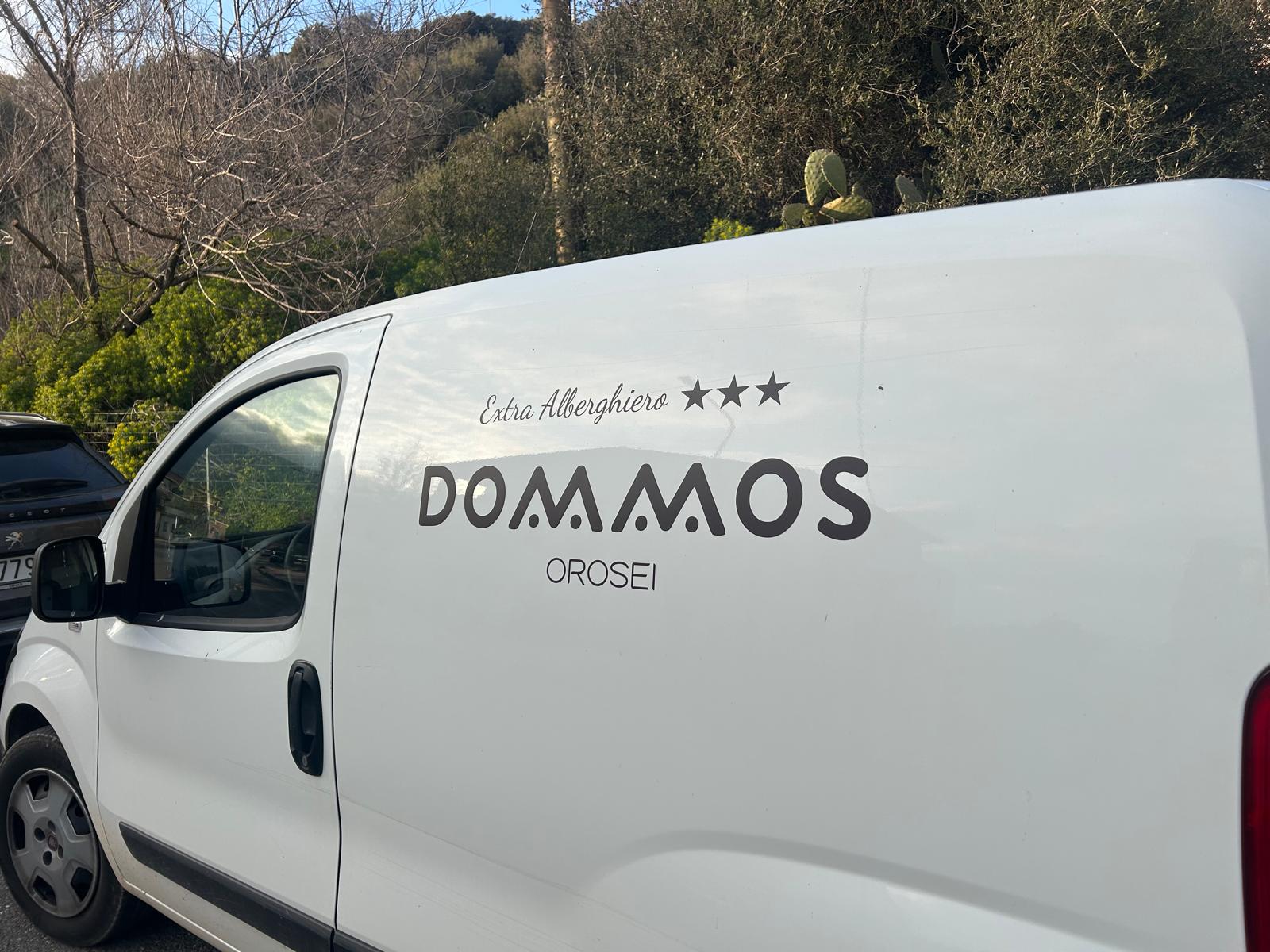Decorazione Furgone Domos